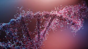 Peripheral neuropathy: why only some mutations cause disease