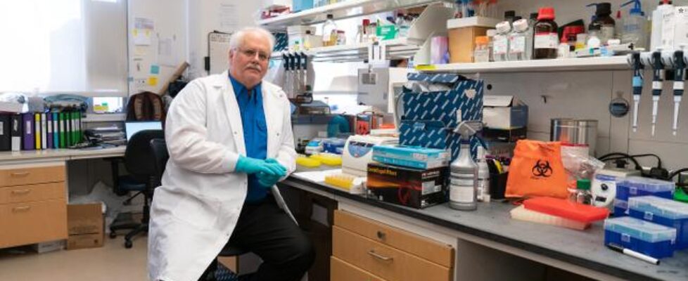 Aux Etats-Unis, le débat sur les origines du Covid-19 secoue la recherche en virologie